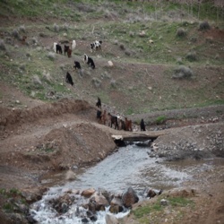 مساحت اراضی مرتعی**728518**هکتار