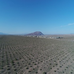 مساحت پدیده‌های بیابانی**201939 **هکتار