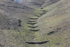 عکس‌های آبخیزداری