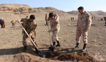 اجرای پویش نهال کاری 