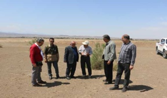 بازدید مدیرکل دفتر بیابان سازمان منابع طبیعی از پروژه‌های بیابان‌زدایی در استان قم