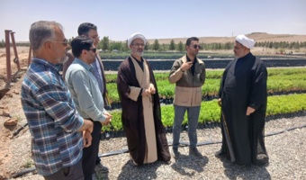 بازدید مسئول حوزه نمایندگی ولی‌فقیه سازمان از پارک جنگلی و نهالستان ثامن قم