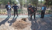 غرس نهال توسط خبرنگاران در قم 