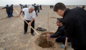 بار دیگر/ حضور جمعیت احیای انسانی در پویش نهال کاری