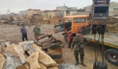 کشف بیش از ۱۳ تن چوب قاچاق در قم