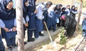 گزارش تصویری/ درختکاری در دبستان آیت الله ظاهری 