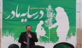 برگزاری پویش نهال کاری در سایه مادر