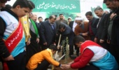 گزارش تصویری/پویش درختکاری با شعار جان ایران