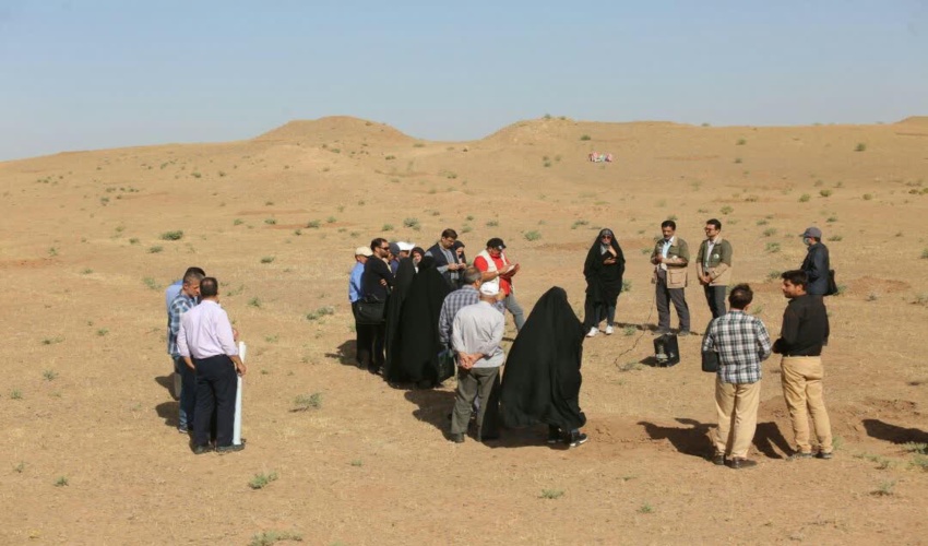 جلوگیری از گسترش بیابان‌ در قم با کاشت گیاهان مقاوم دنبال می‌شود