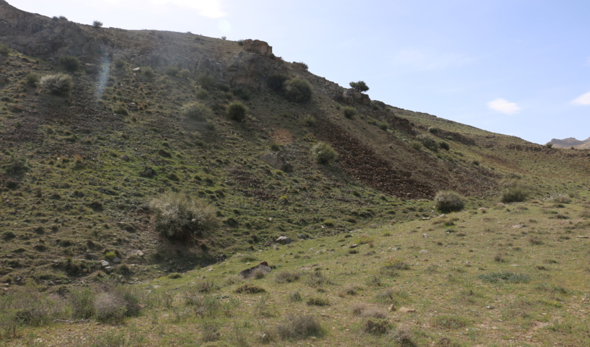 ذخیره گاه جنگلی پلنگ دره