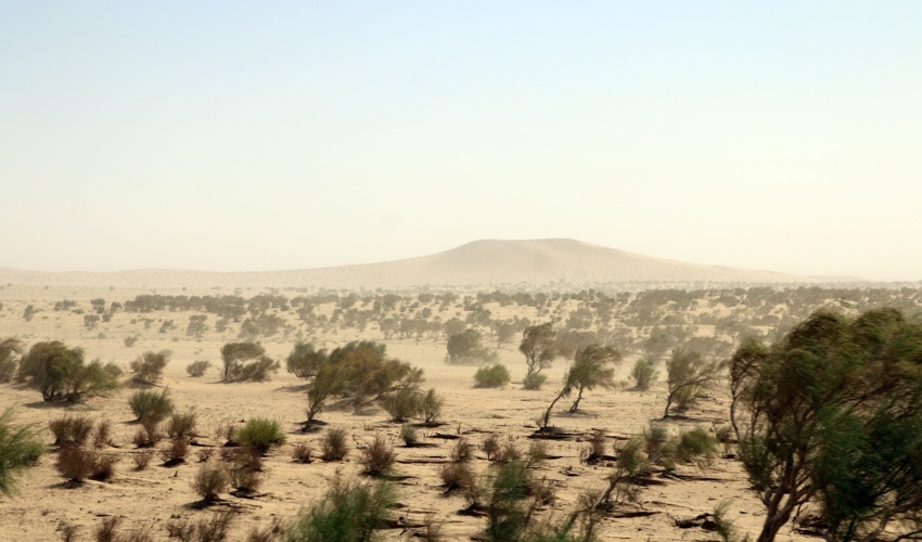 تداوم خشکسالی، مهمترین عامل افزایش شدت فرسایش بادی و تهدید امنیت غذایی