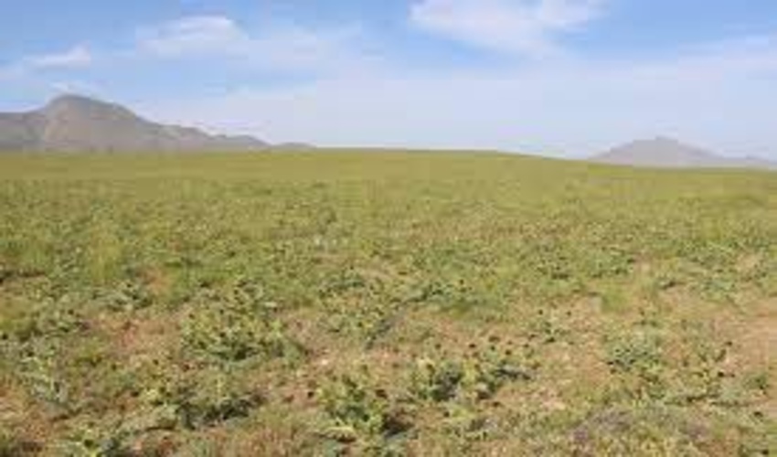 آگهی ممیزی مرتع