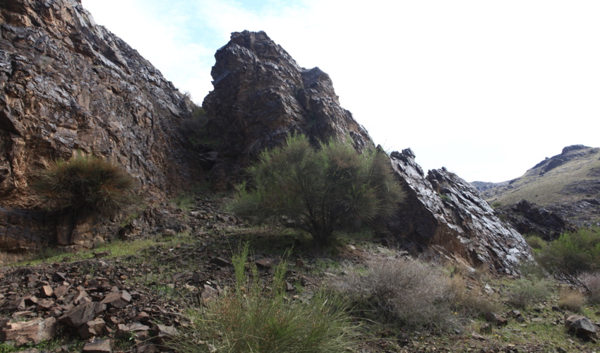 ذخیره گاه جنگلی شاه اسماعیل