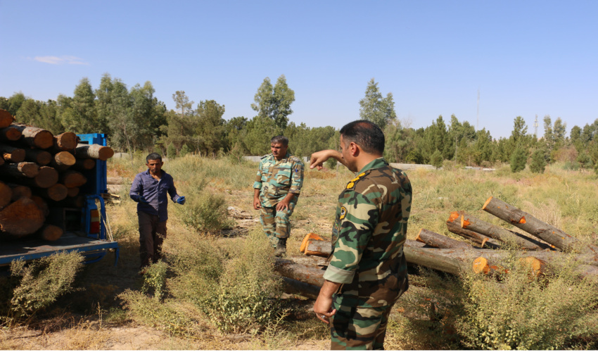 پیام سرپرست سازمان منابع طبیعی و آبخیزداری کشور به مناسبت روز جنگلبان