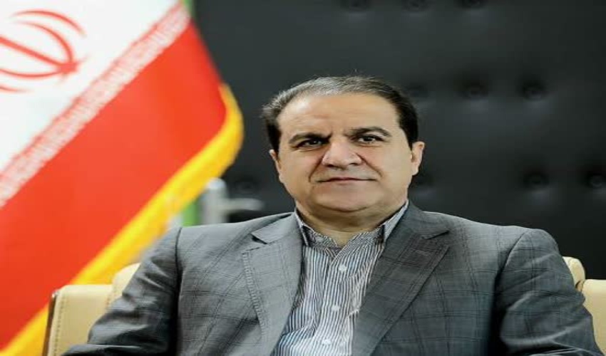 167 اصله چوب قاچاق 