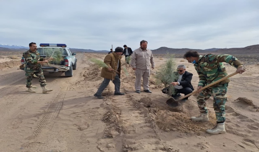 مراسم گرامیداشت هفته منابع طبیعی در منطقه 8 قم برگزار شد