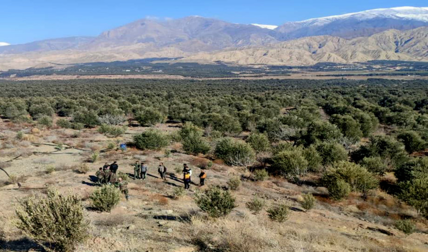 مدیران به هشدارهای رهبری نسبت به کاشت نهال مضر توجه کنند/نگهداری از اراضی بر عهده مردم است