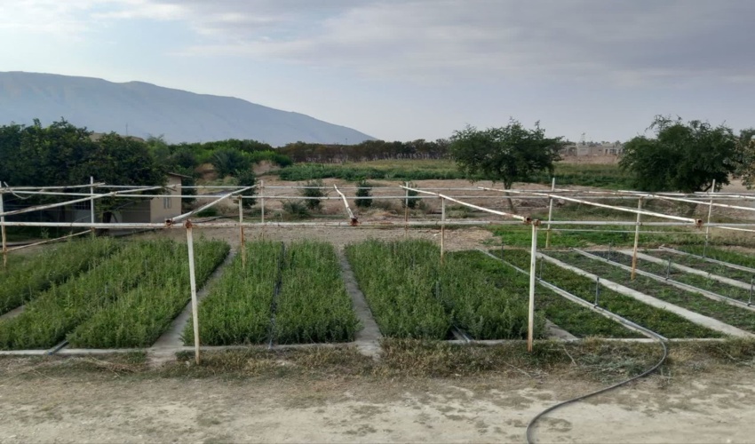  هفته منابع طبیعی در استان قم آغاز شد