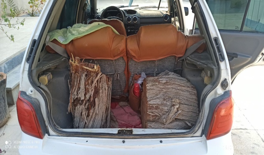 روحانیون برتر طرح ملی سفیران انفال در قم تجلیل شدند/غرس نهال در جامعه مدرسین حوزه علمیه قم