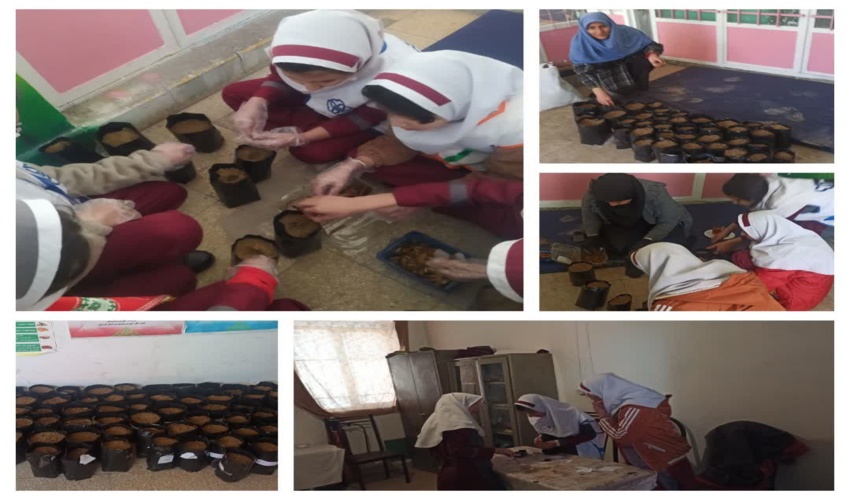 جذب 22 میلیارد تومان از اعتبارات صندوق توسعه ملی برای قم