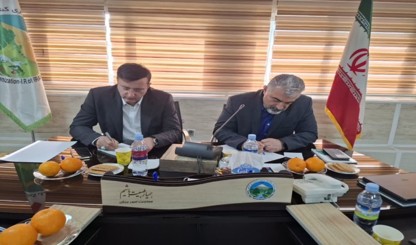 باغ‌های اطراف شهر مقدس قم به دو هزار هکتار هم نمی‌رسد.