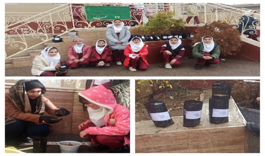 همایش هم‌اندیشی حفاظت از اراضی ملی و دولتی در قم برگزار شد