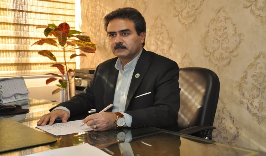 پیکان وانت حامل چوب های درختان کویری