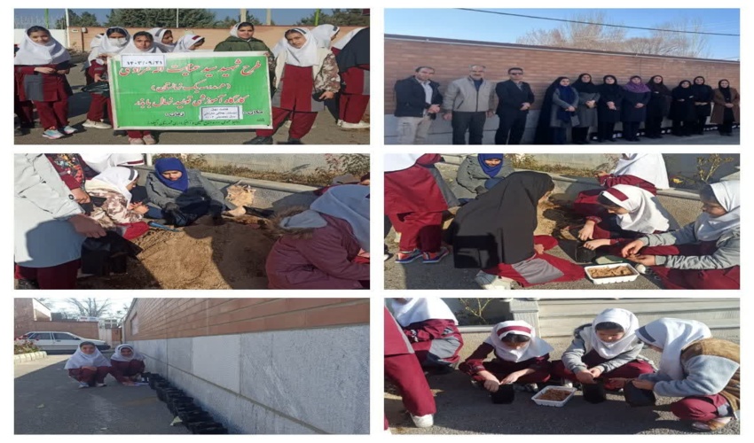 بذرکاری بادام کوهی در منطقه پلنگ‌دره قم