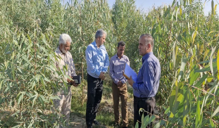 شوراهای اسلامی باید حافظ منابع طبیعی باشند