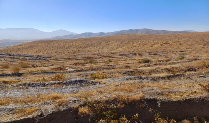 خودرو حامل چوب های قاچاق درختان کویری