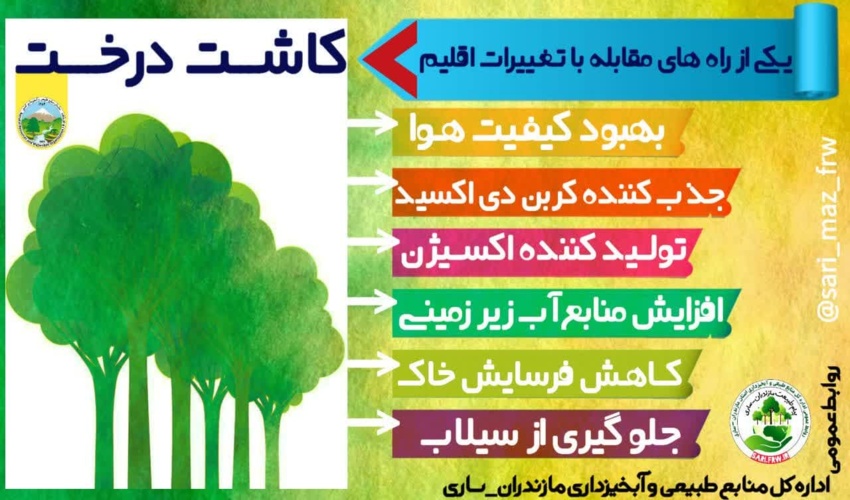 مراسم گرامی داشت سردار رشید جبهه مقاومت و یاران شهیدش در اداره کل منابع طبیعی و آبخیزداری استان قم برگزار شد (گزارش تصویری)