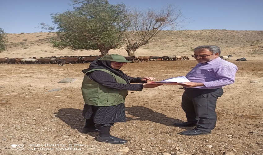 آزمون استخدامی اداره کل منابع طبیعی و آبخیزداری استان قم