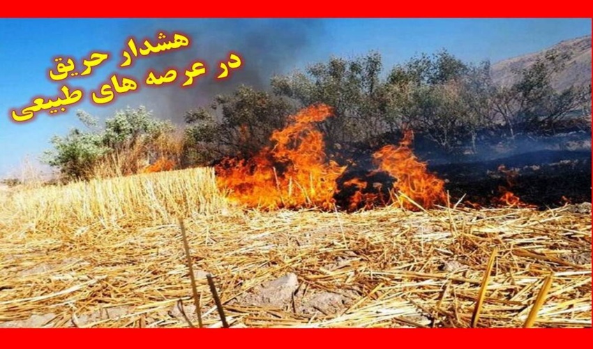 نشست پژوهشی هفته منابع طبیعی در قم برگزار شد