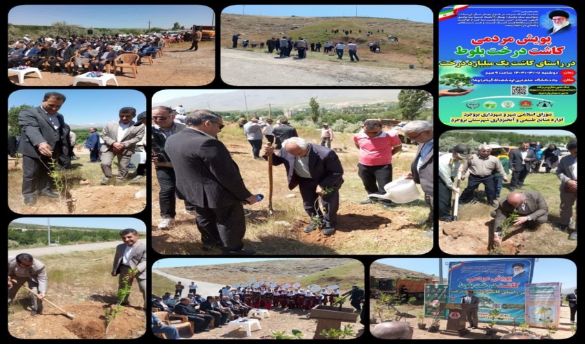 آغاز نهضت ملی کاشت 14 میلیون اصله نهال از قم/ 200 هزار نهال در منطقه کوه نمک کاشته می‌شود
