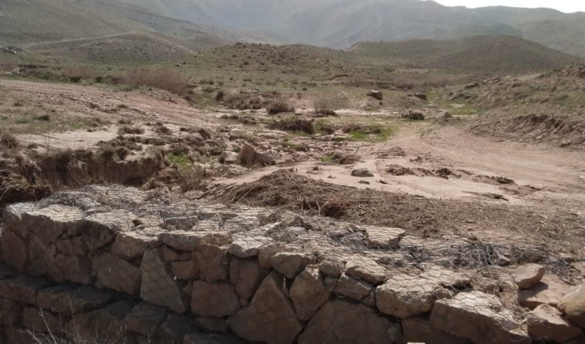 نهضت ملی «نهال‌کاری همگانی برای ایرانی سرسبز» در قم آغاز شد