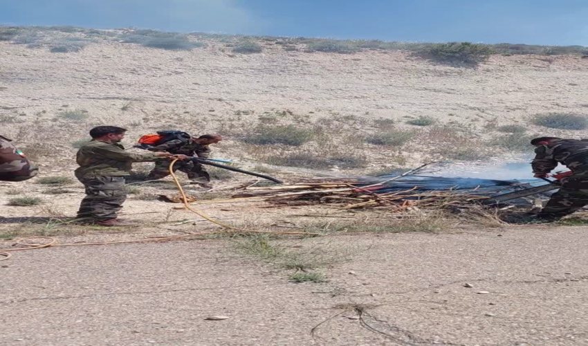  کاشت 500 هزار اصله نهال طی سال جاری در استان قم