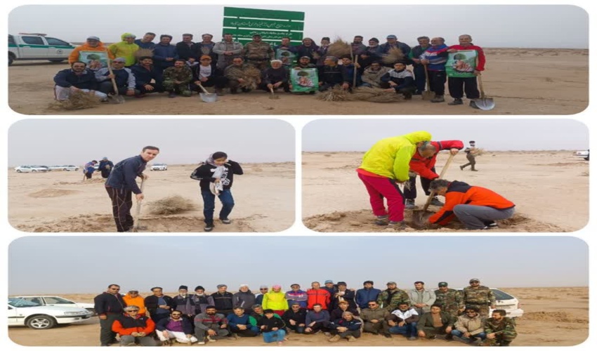 مالچ‌پاشی هیچ ضرری برای محیط زیست ندارد/استان تهدید ریزگردها را باور کند