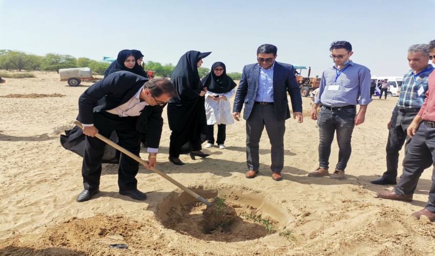 آغاز طرح ملی «نهضت سبز» با مشارکت بیش از 250  داوطلب