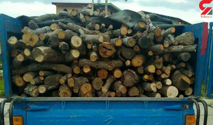 ذخیره گاه نیزار