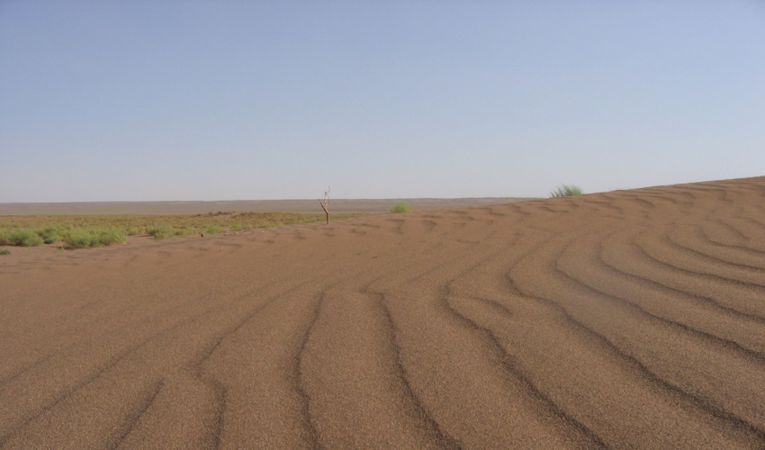 تاکید مدیر کل دفتر امور بیابان بر مردمی سازی فعالیت های مقابله با بیابانزایی