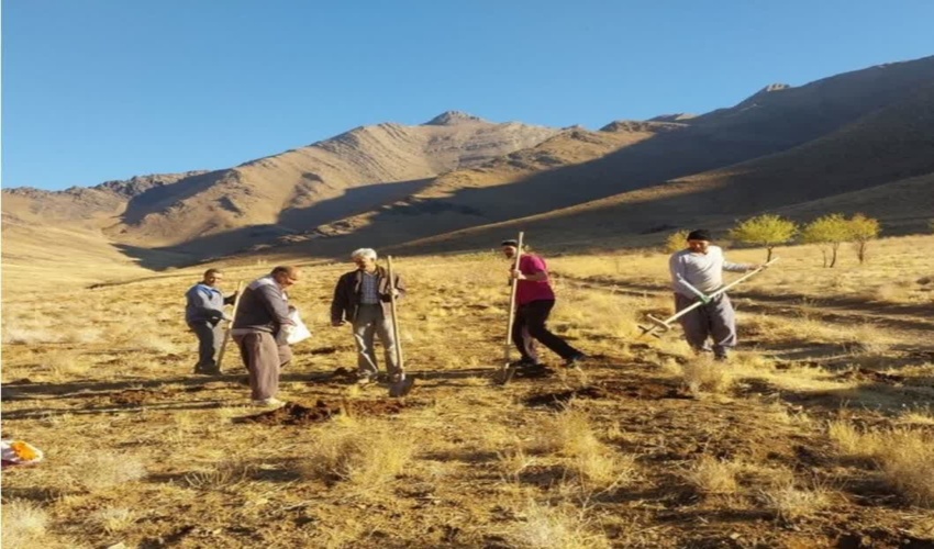 ذخیره گاه احمدآباد