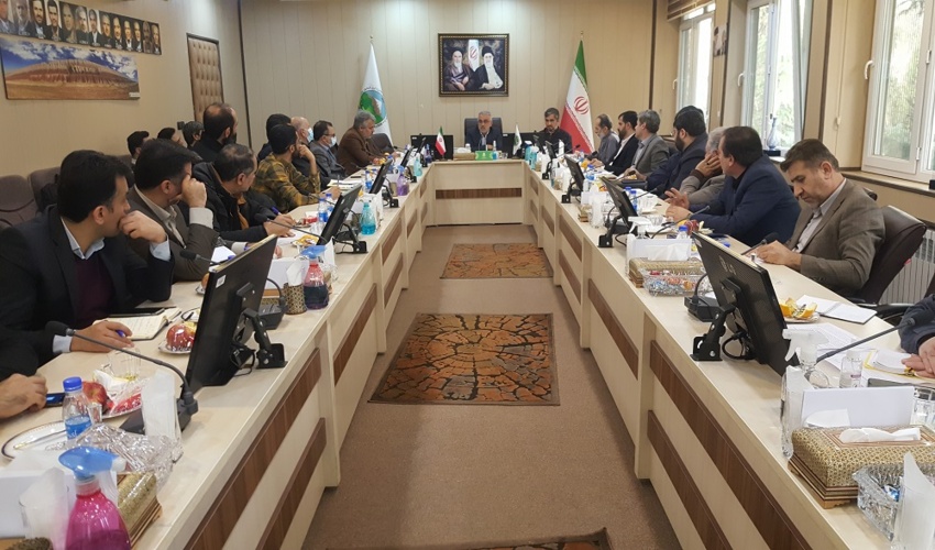 عزم جدی سازمان منابع طبیعی برای تولید و کاشت یک میلیارد نهال