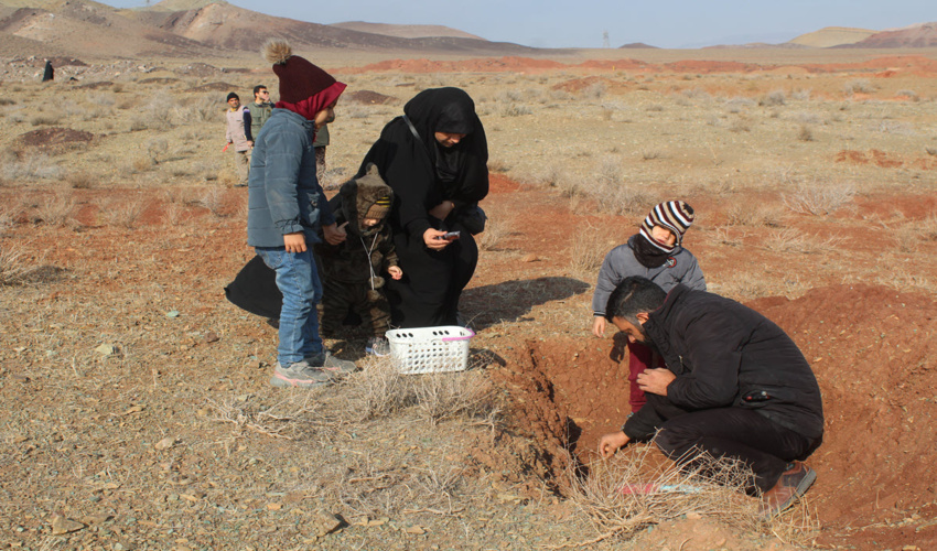 نذرسبز مادری