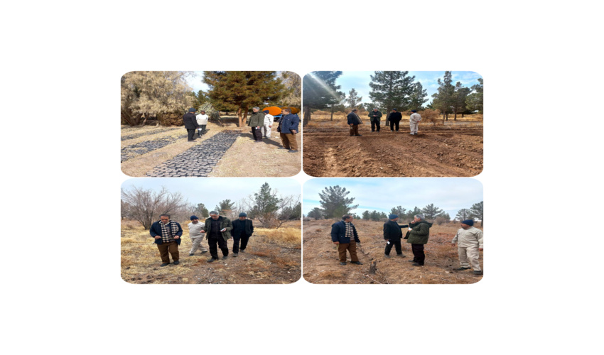 رایزنی ایران برای واردات چوب و نهال از بلاروس/ آمادگی مینسک برای انتقال تجربه در حوزه جنگلداری به تهران