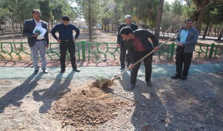 غرس نهال توسط خبرنگاران در قم 