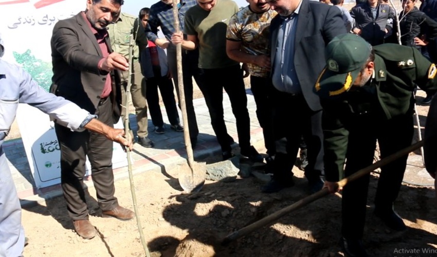 نهال کاری در شهرستان جعفرآباد صورت گرفت