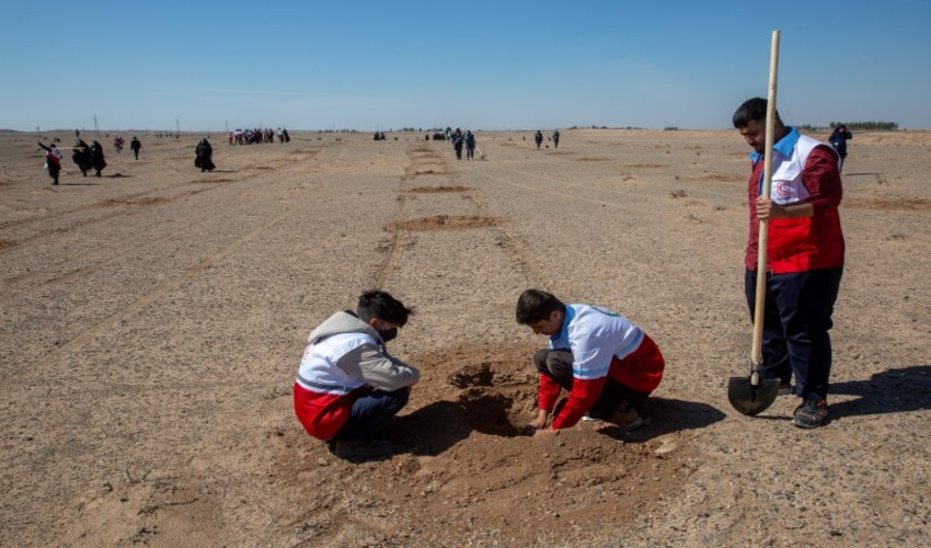غرس بیش از دو هزار نهال توسط داوطلبان هلال احمر و بسیجیان در قم
