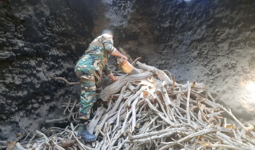 کشف بیش از 6 تن چوب قاچاق در کوره‌های آجرپزی جمکران قم 