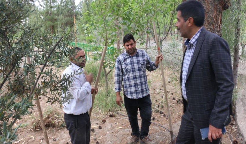 تقدیر از کارگران اداره کل منابع طبیعی و آبخیزداری استان قم