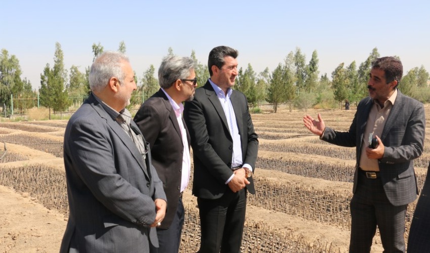 بازدید مدیرکل دفتر برنامه ریزی، بودجه و هماهنگی طرح‌ها از اقدامات اداره کل منابع طبیعی و آبخیزداری 